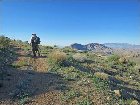 Gold Butte Peak