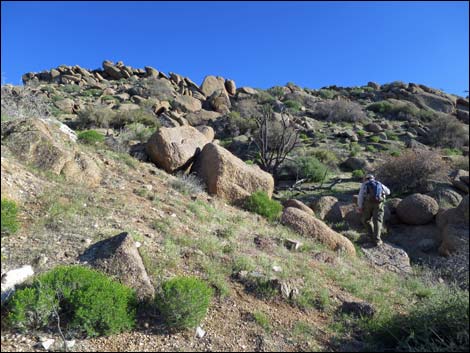 Gold Butte Peak