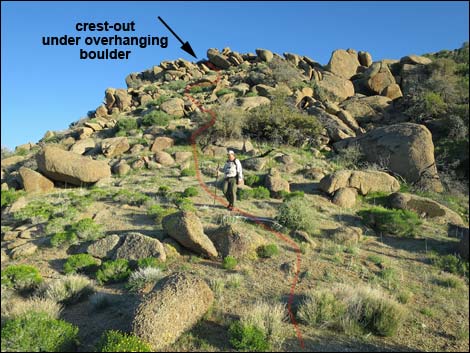 Gold Butte Peak