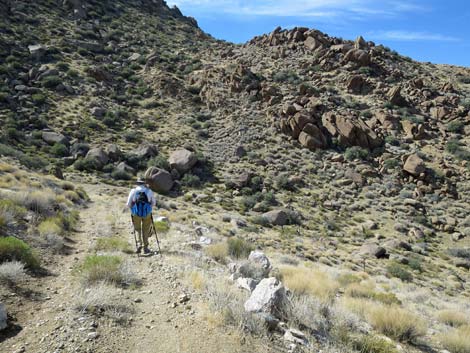 Gold Butte Peak