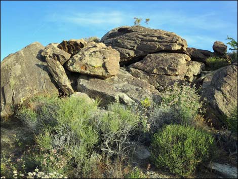 Jumbo Springs Wilderness