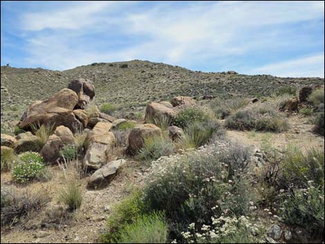 Jumbo Springs Wilderness Area