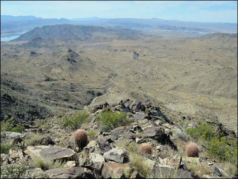 Jumbo Springs Wilderness Area