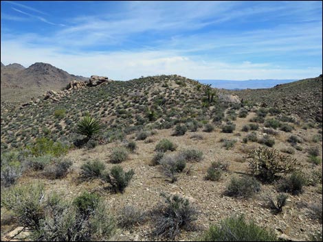 Jumbo Springs Wilderness