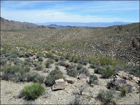 Jumbo Springs Wilderness