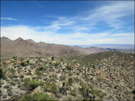 Jumbo Springs Wilderness