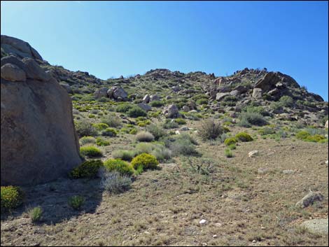 Jumbo Ridge Highpoint