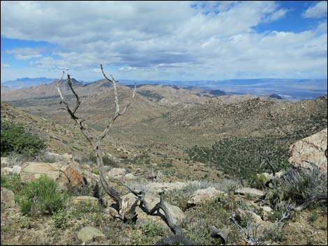 jumbo peak