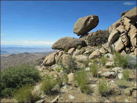 jumbo peak