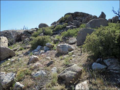 jumbo peak