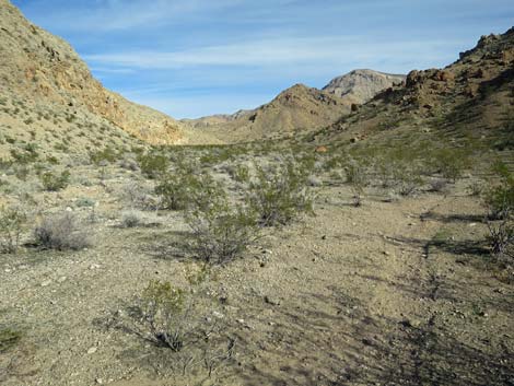 Two Forks Loop