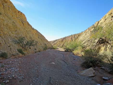 Lime Canyon