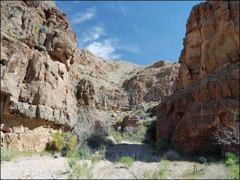 Lime Canyon