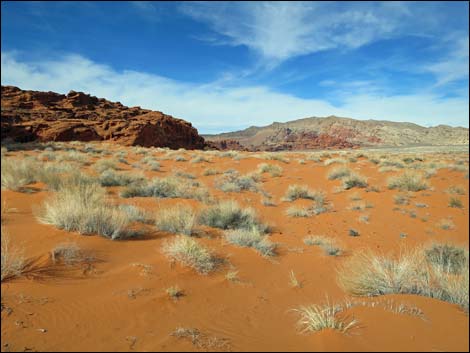 Mud Wash Dunes