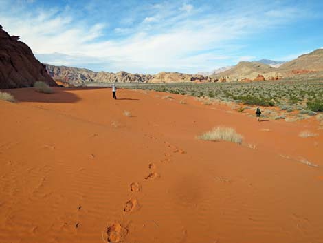 Mud Wash Dunes