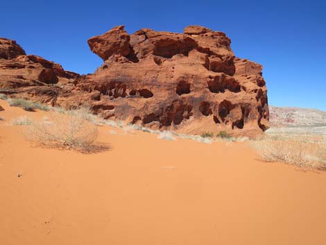 Mud Wash Dunes