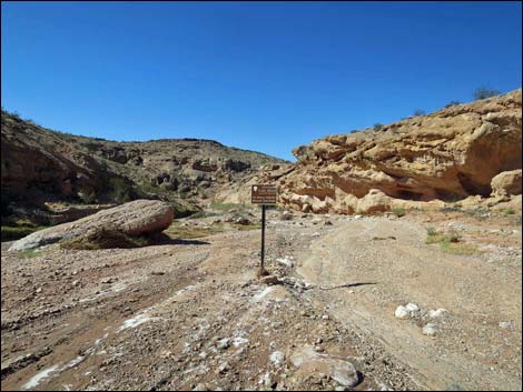 Mud Wash Narrows