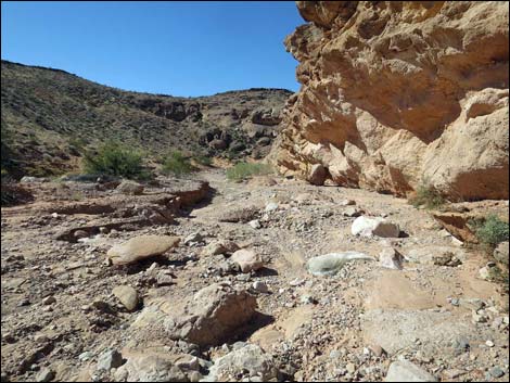 Mud Wash Narrows