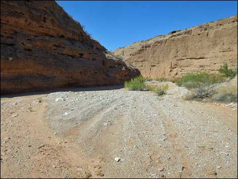 Mud Wash Narrows