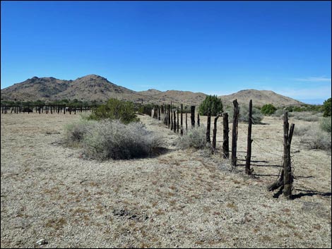 Cedar Basin Corral