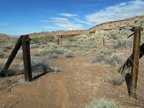 Gold Butte Wash Well