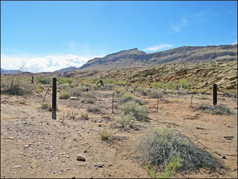 Gold Butte Wash Well