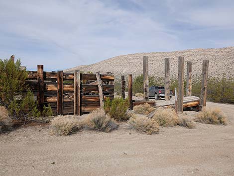 Garden Spring Corral