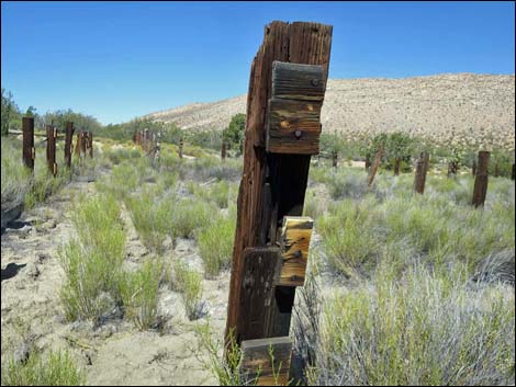 Garden Spring Corral