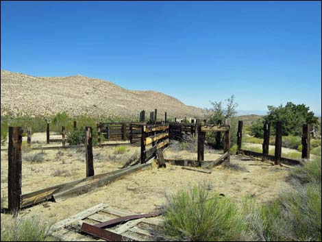 Garden Spring Corral