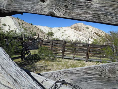 Horse Spring Corral