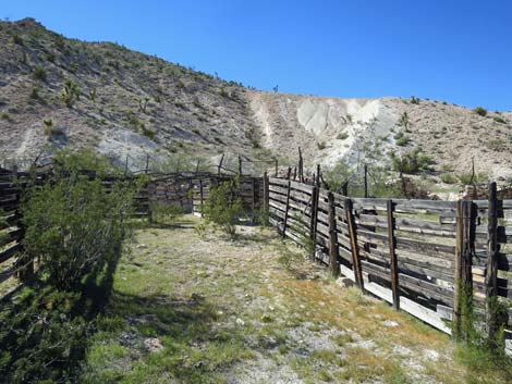 Horse Spring Corral