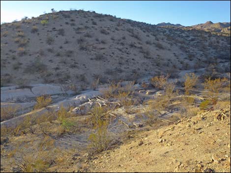 Lakeshore Mine