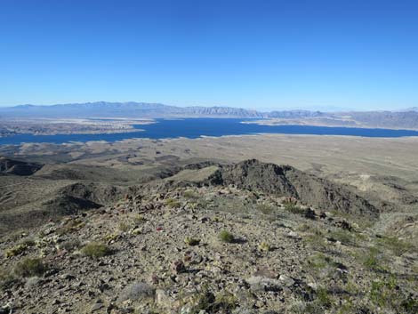 Lakeside Mine