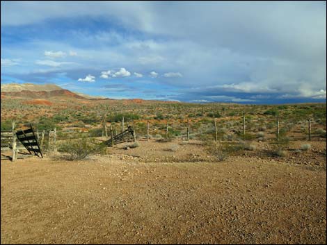 Mud Hills Corral