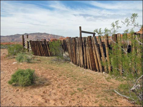 Mud Wash Corral