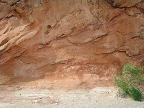 Mud Wash Petroglyphs