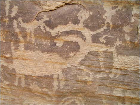 Gold Butte Rock Art