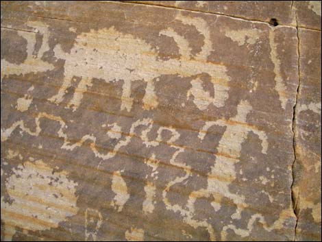 Gold Butte Rock Art