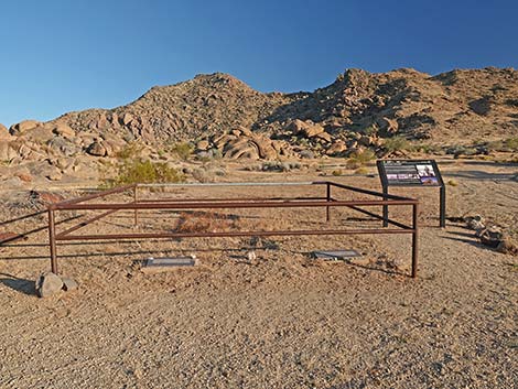 Gold Butte Townsite