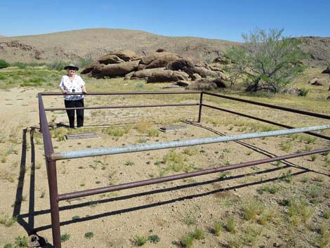 Gold Butte Townsite