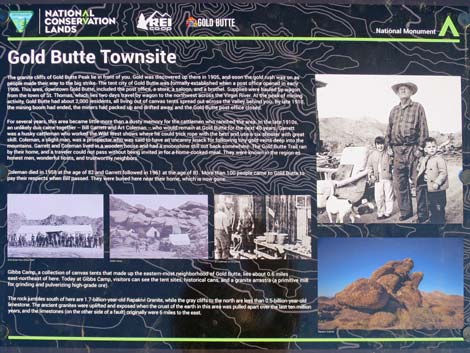 Gold Butte Townsite