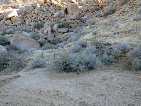 Lower Gold Butte Mine