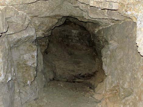 Lower Gold Butte Mine