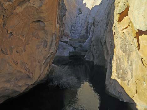 Whitney Pocket CCC Dam