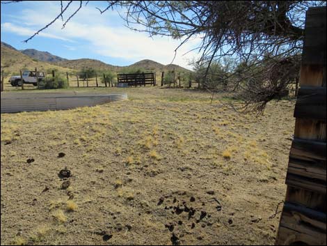 Willow Wash Corral