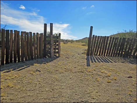 Willow Wash Corral