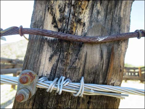 Willow Wash Corral