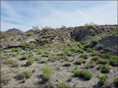 Windmill Mine