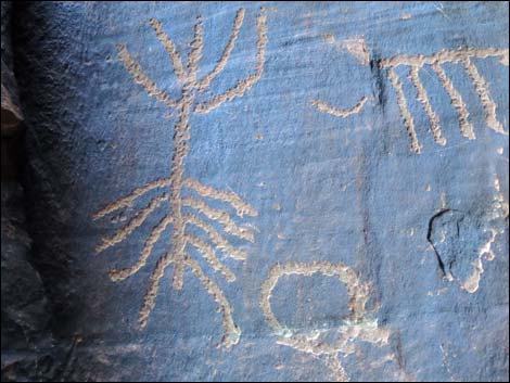 Gold Butte petroglyphs