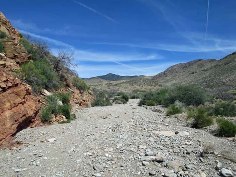 Whitney Wash Loop